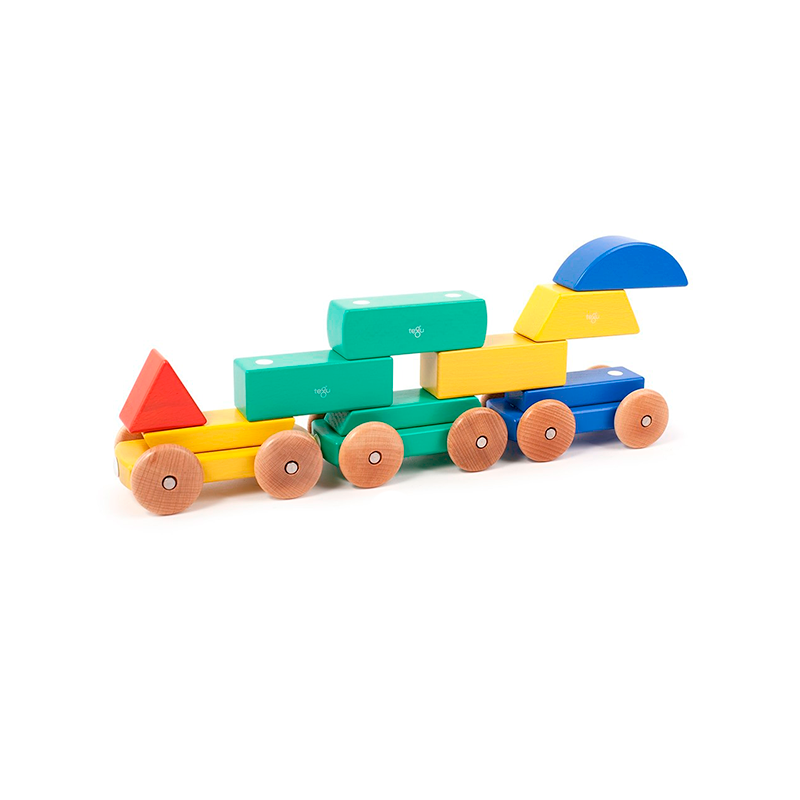 tegu magnetic train