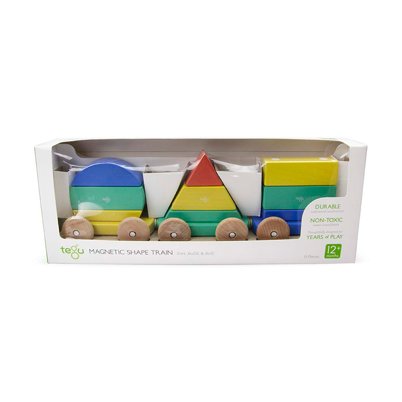 tegu magnetic shape train