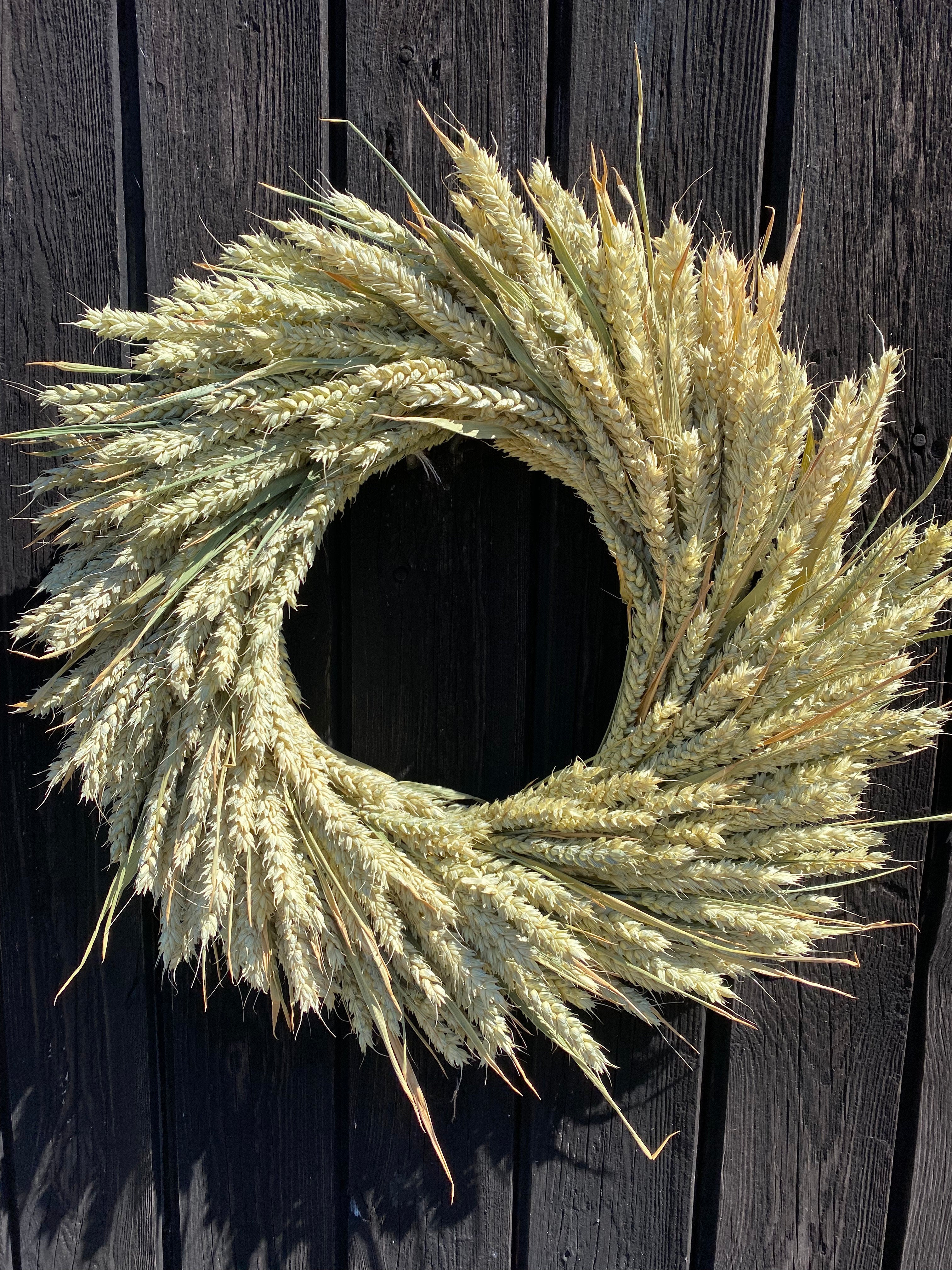 Homemade wreath autumn leaves  wheat grass dried