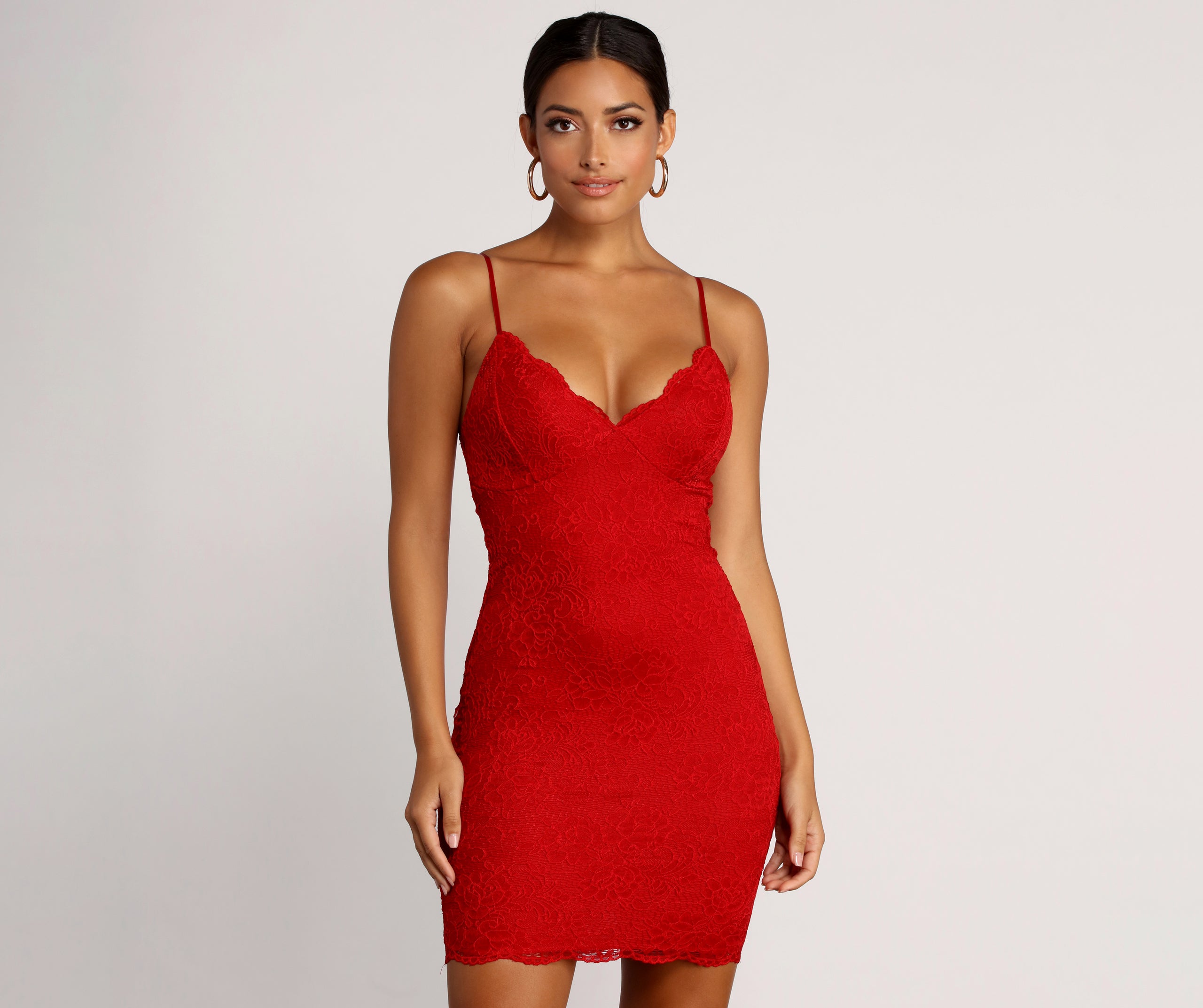 Ravishing Lace Bodycon Dress – Windsor