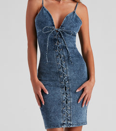 windsor denim dress