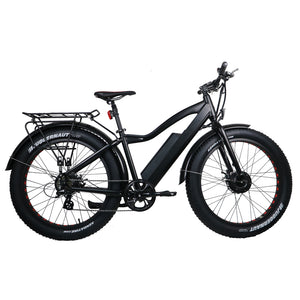 ebike dual motor