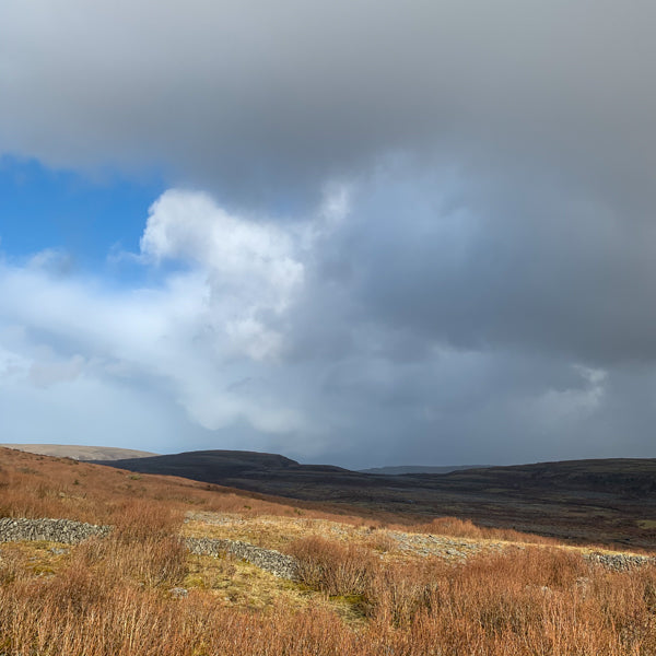 Burren shadows