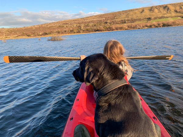 More dog kayaking