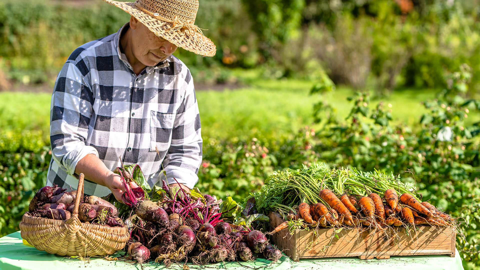 Organic agriculture. Органическое сельское хозяйство. Органика сельское хозяйство. Фермер с урожаем. Рынок фермер.