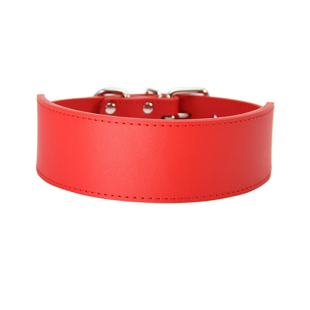 durable dog collars