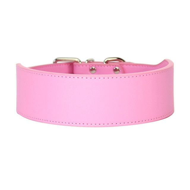 durable dog collars