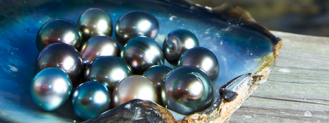 pearl jewelry, south sea, tahitian pearls, pearl earrings, pearl necklace, june birthstone-q&t jewelry in round rock