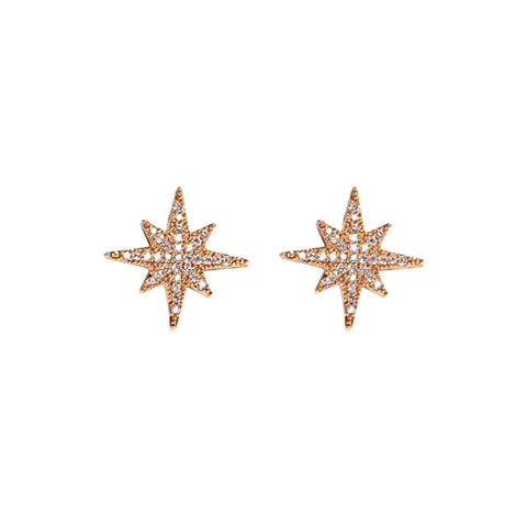 rose gold stud earrings 