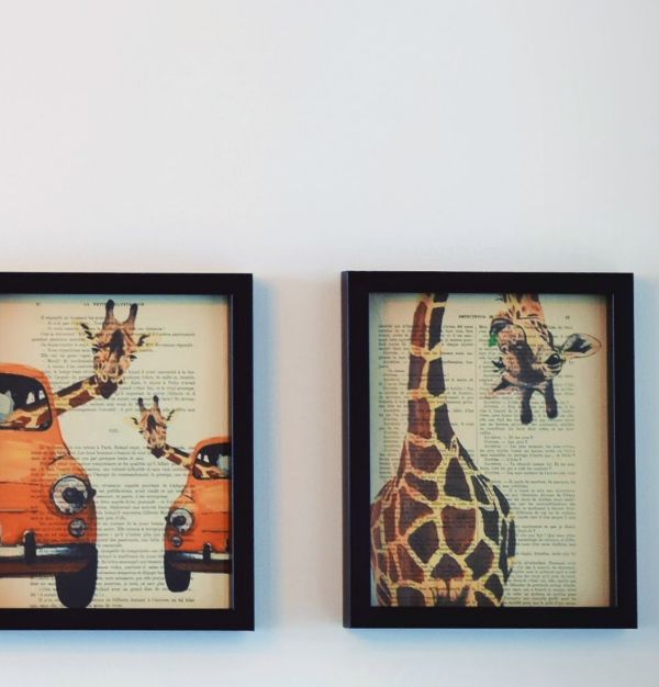 Animal Wall art poster prints