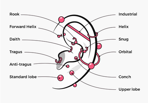 curated ear piercing placements