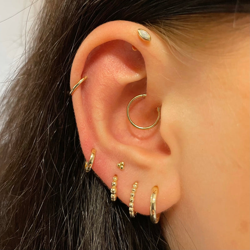 14k solid yellow gold conch hoop earring - LAURA BOND jewellery