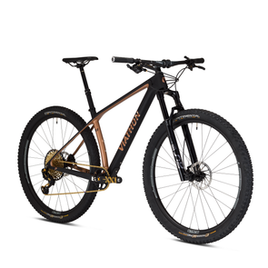 best value trail bike 2021