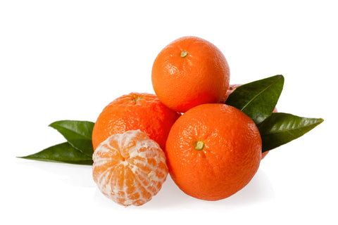 Frucht eine Clementinen für Clementinen Winter typische den