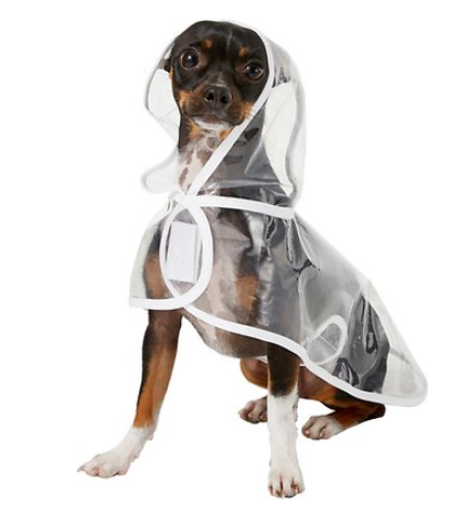 frisco dog raincoat