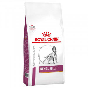 renal canine food