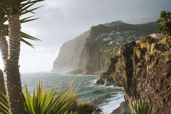 a stormy view of waves crashing on the beach and rocky mountain face with palm trees in the foreground