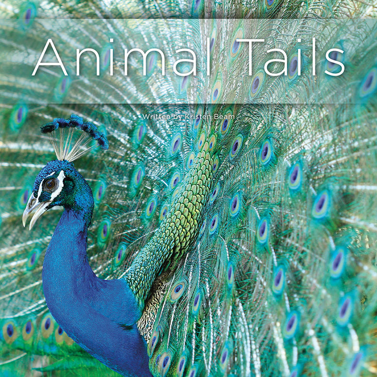 animal tails book