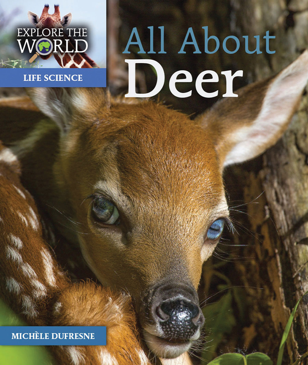 All About Deer – Pioneer Valley Books