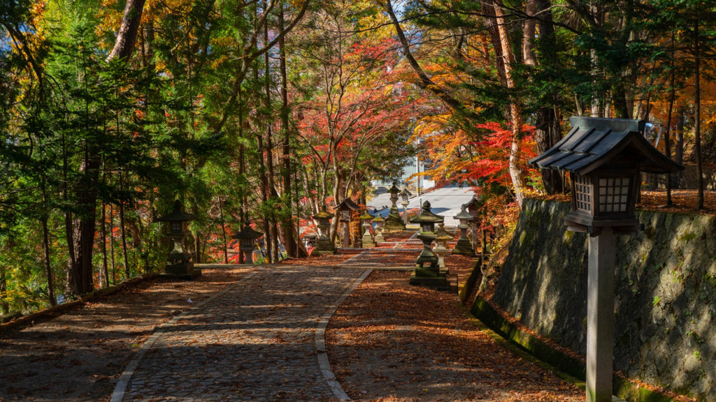 Autumn colours in Takayama, Gifu Prefecture