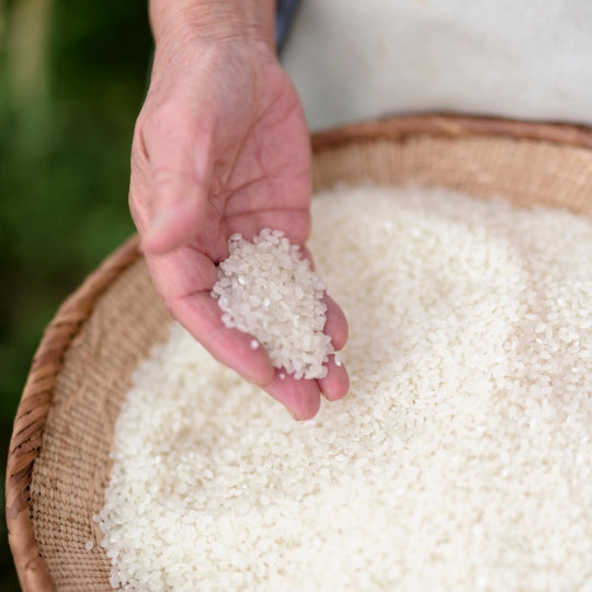 sake ingredients rice