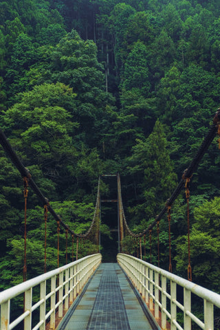 The Iya valley on Shikoku island.