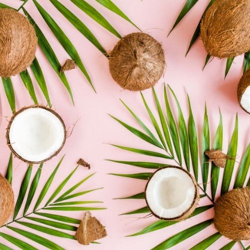 Zoom on coconut oil: benefits for hair & skin – Black Venus Beauty