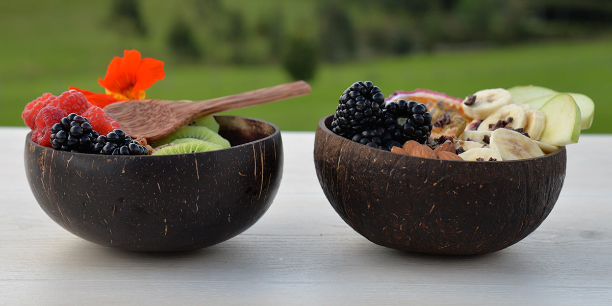 https://cdn.shopify.com/s/files/1/0071/1403/1186/files/coconut-bowls-on-table.jpg?v=1571998441