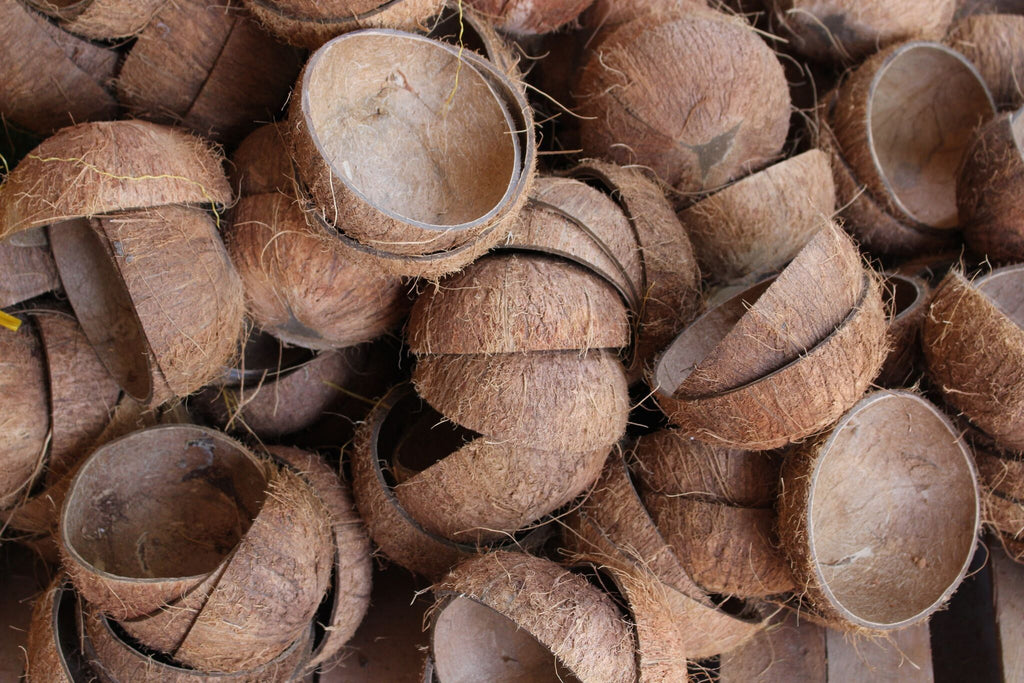 Coconut bowls