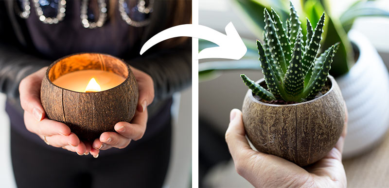 Turn your candle into a planter