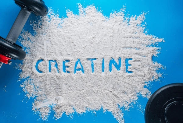 Uncovering the Benefits of Creatine Monohydrate