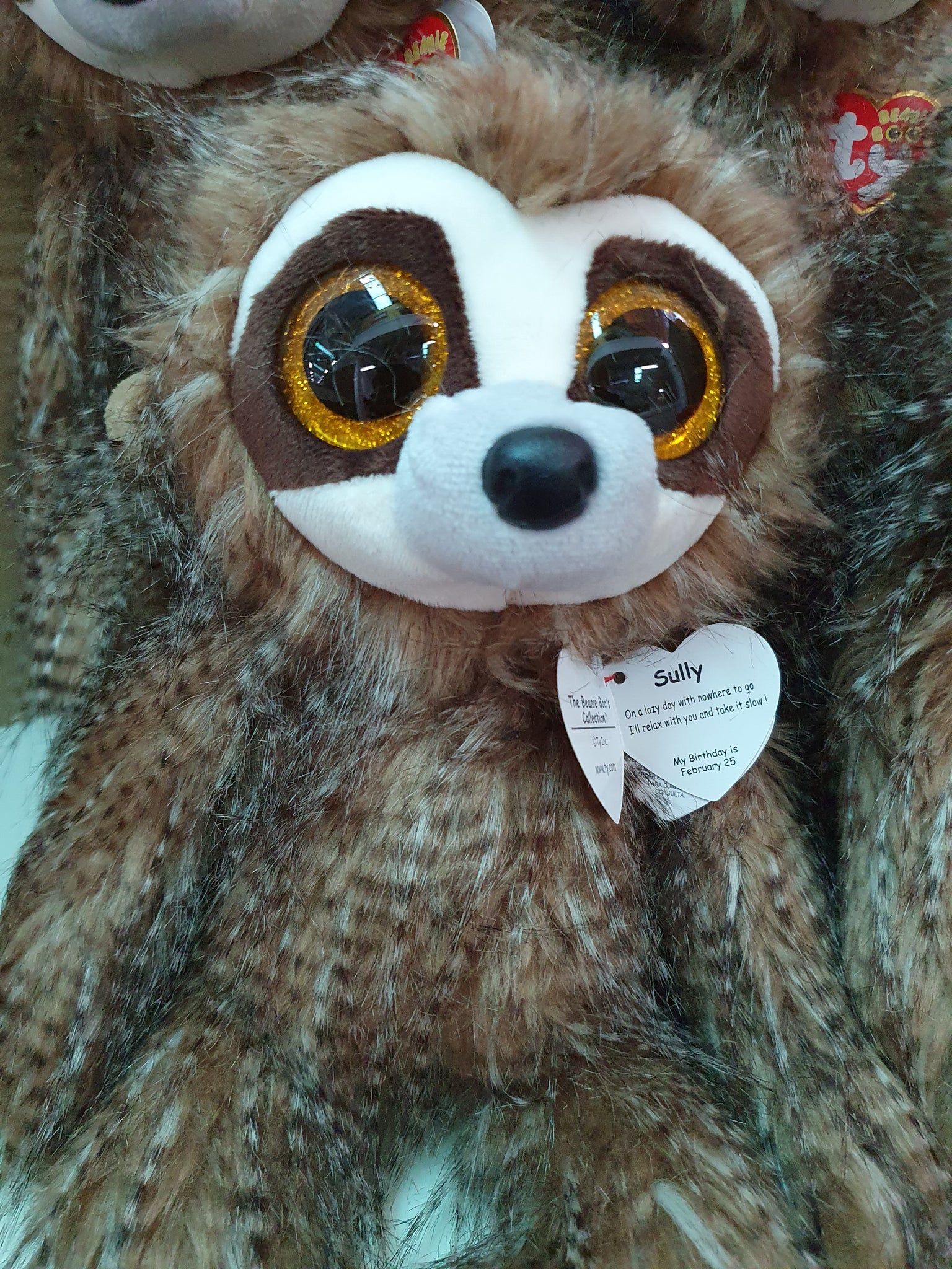 dreamy the sloth beanie boo