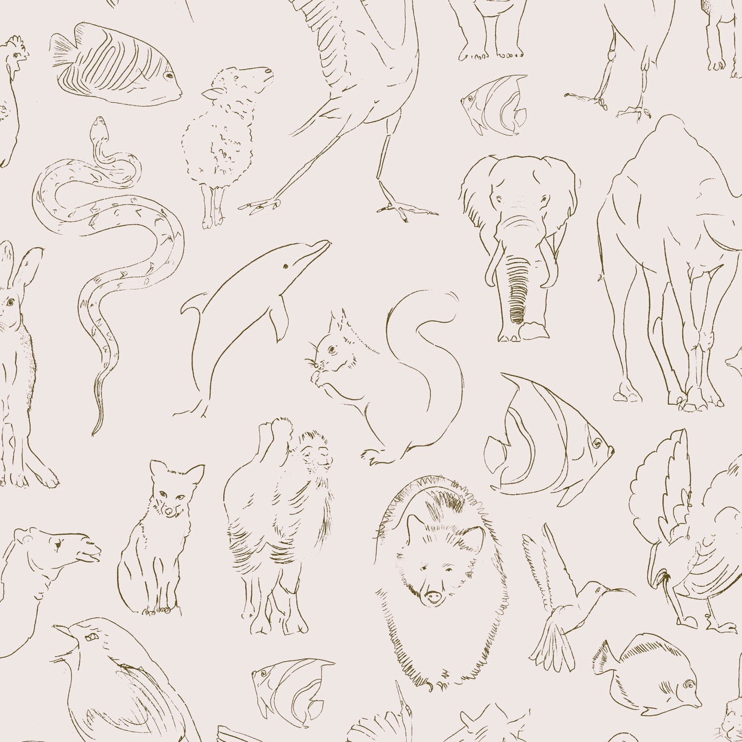 zoology wallpaper