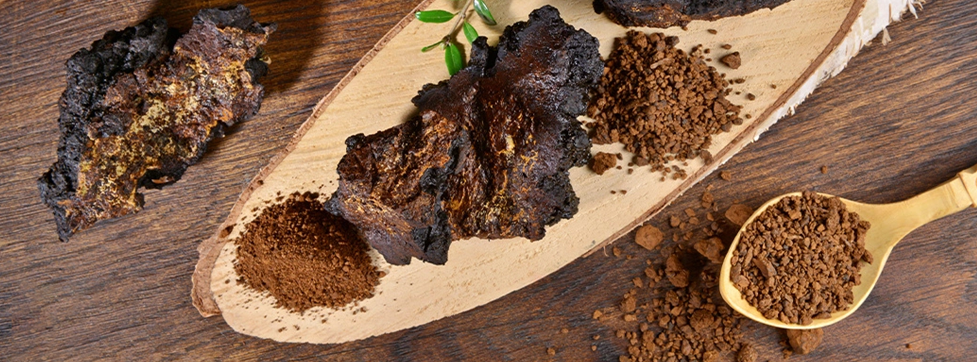 Chaga Mushroom Powder