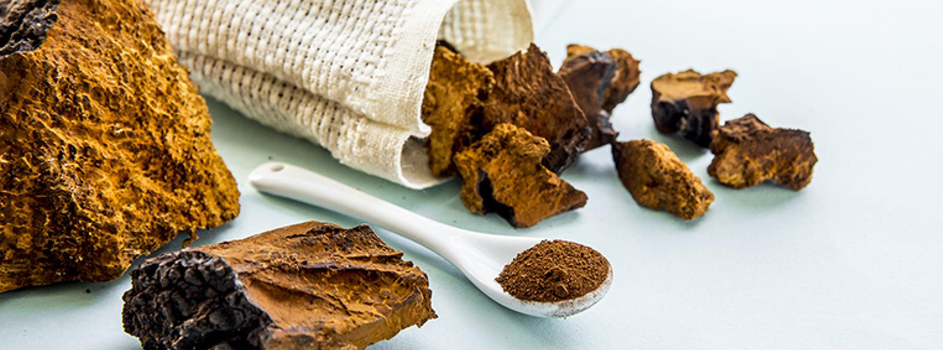 Chaga Mushroom Powder