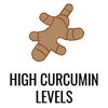 High Curcumin levels