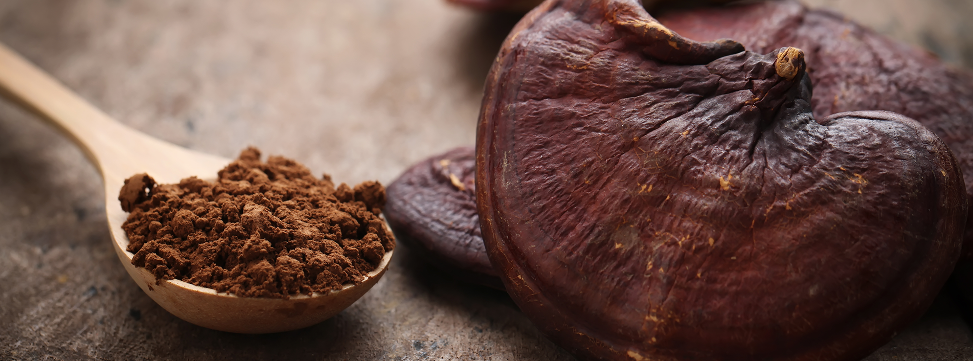 Reishi Mushroom Powder