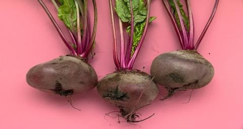 WHY BEETROOT POWDER IS GOOD FOR YOU