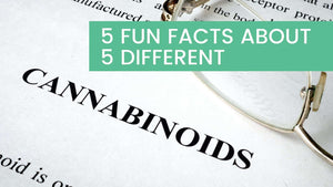 5 Fun Facts About 5 Different Cannabinoids