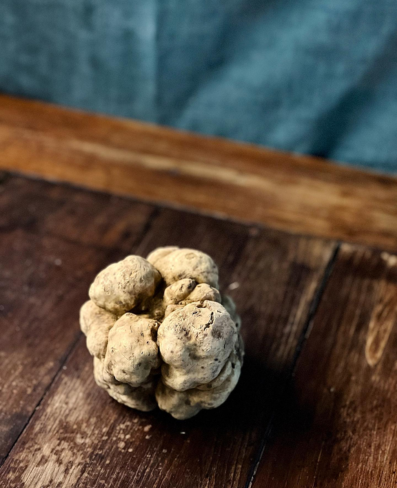 white truffle from Tartuflanghe for Tasty Ribbon
