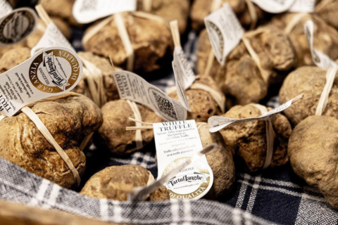 white truffle Tasty Ribbon
