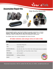 Accumulator repair kit