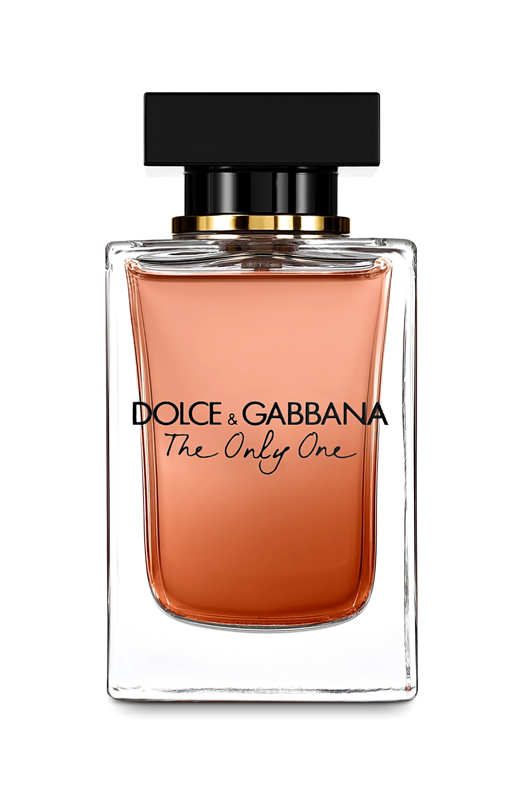 The | Dolce and Gabbana | Scents