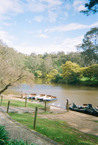 A picturesque river scene, featuring abundant greenery lining the river bed, a collection of little row boats tied to the dock, and a few white geese nearby.