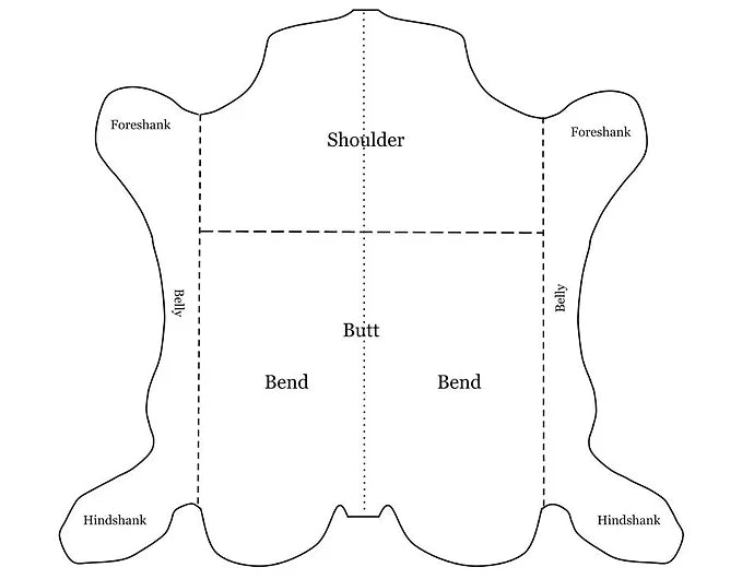 Parts of the hide -  - The Leather Dictionary