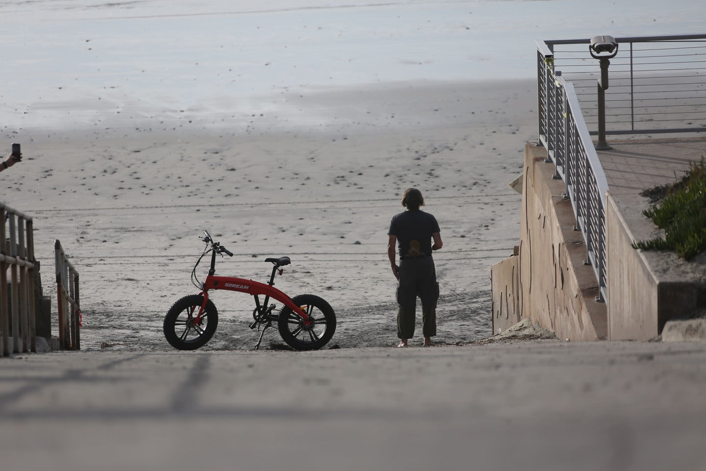 folding electric bike