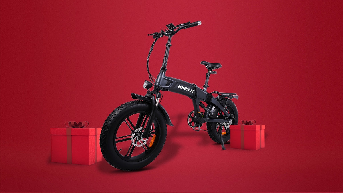 SDREAM X750S, 750W All-terrain Folding Ebike 