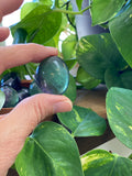 Fluorite Pocket Stone