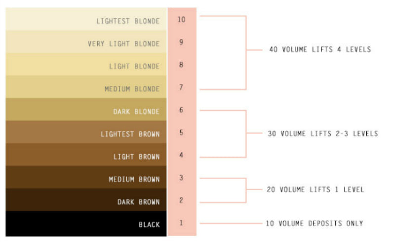 Hair Color Developer Chart