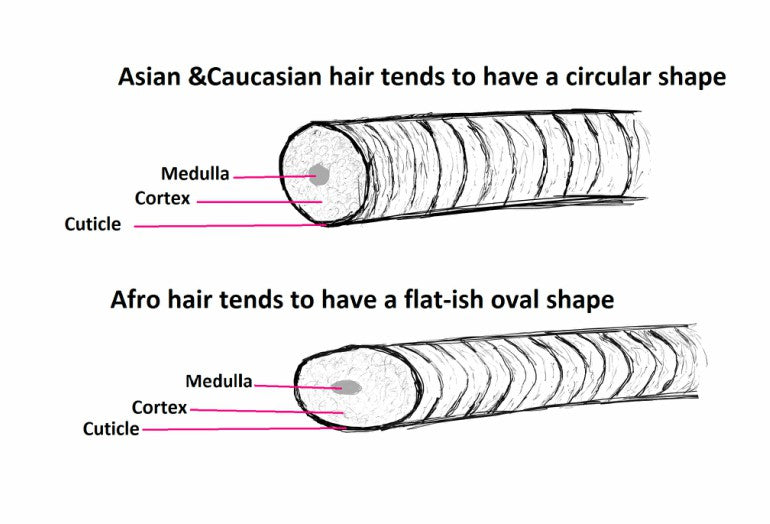 Hair Structure Coarse Meaning